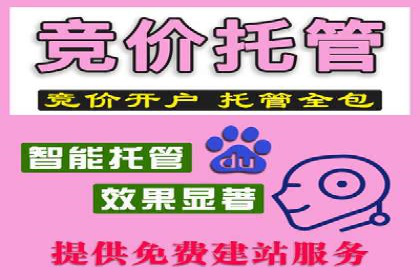 百度竞价代运营的五大成功案例：激发广告创意的火花